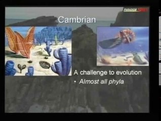 Scientific Proof For Noah's Flood - Dr. Marc Surtees