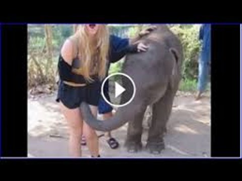 Estados de Amor para WhatsApp, Facebook, Twitter, etc. ♡ ♥(720p)