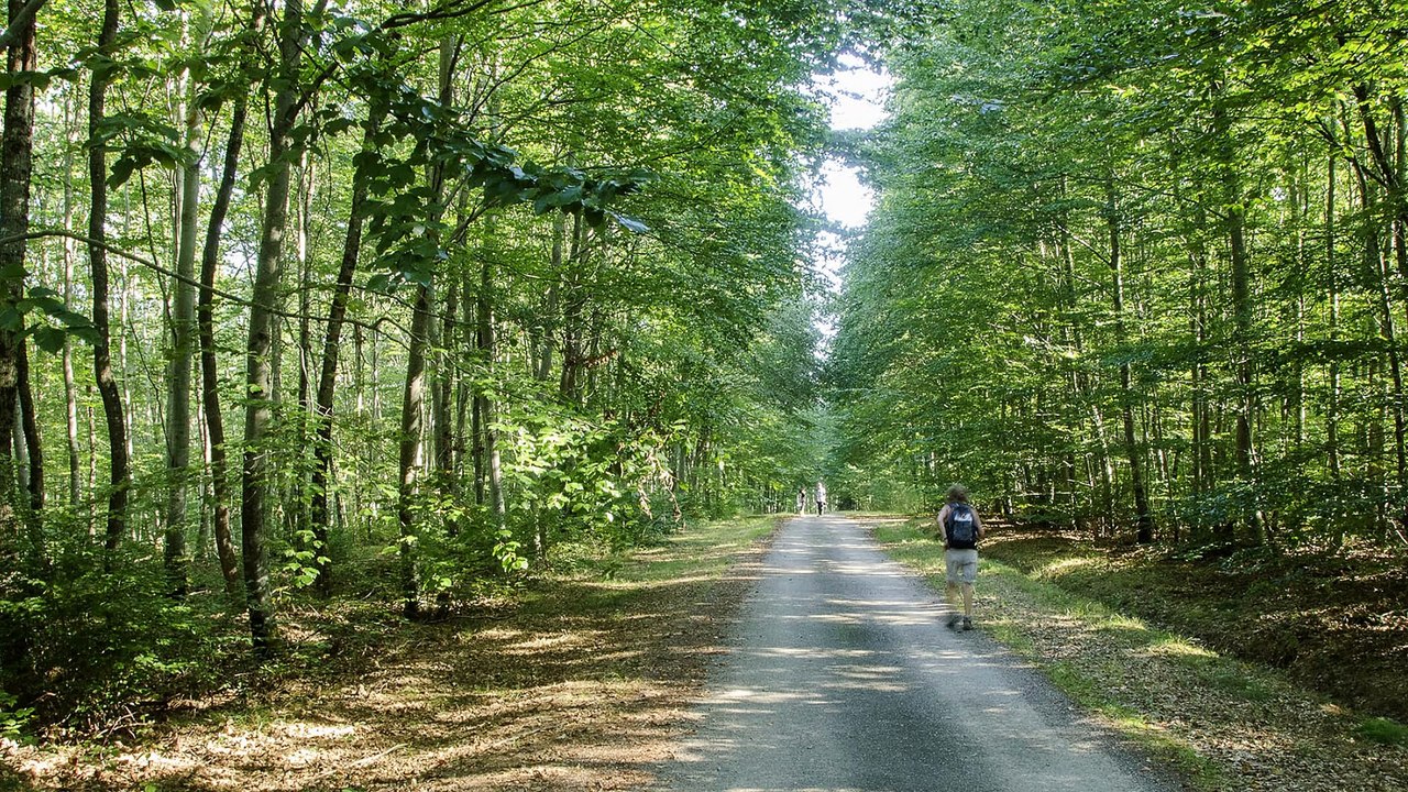 Randos pour le Téléthon 2016