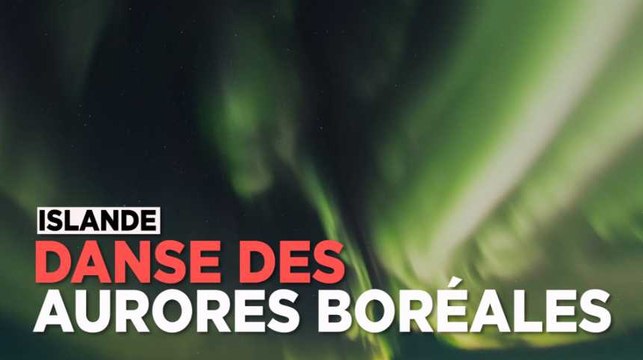 Islande : danse des aurores boréales à Reykjavik