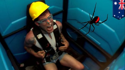 Man gets spider bite to the penis for second time in five months