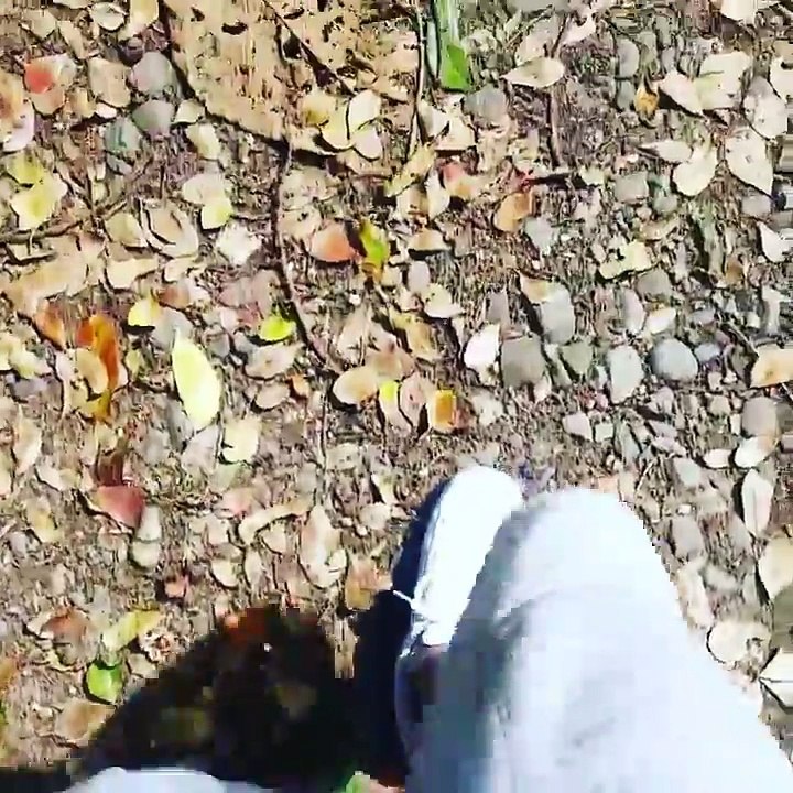 Papi Wilo - Recordando Que Ya Pronto Sale El Disco