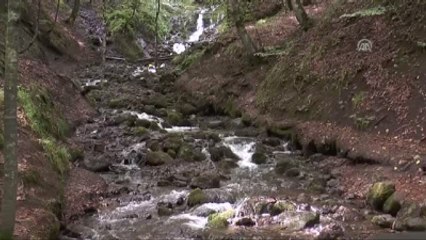 Tabiat Parkında Araç Yoğunluğu Hgs ile Önlenecek - Bolu