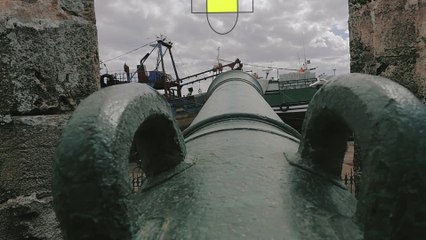 Moga Festival - Official Trailer 2016