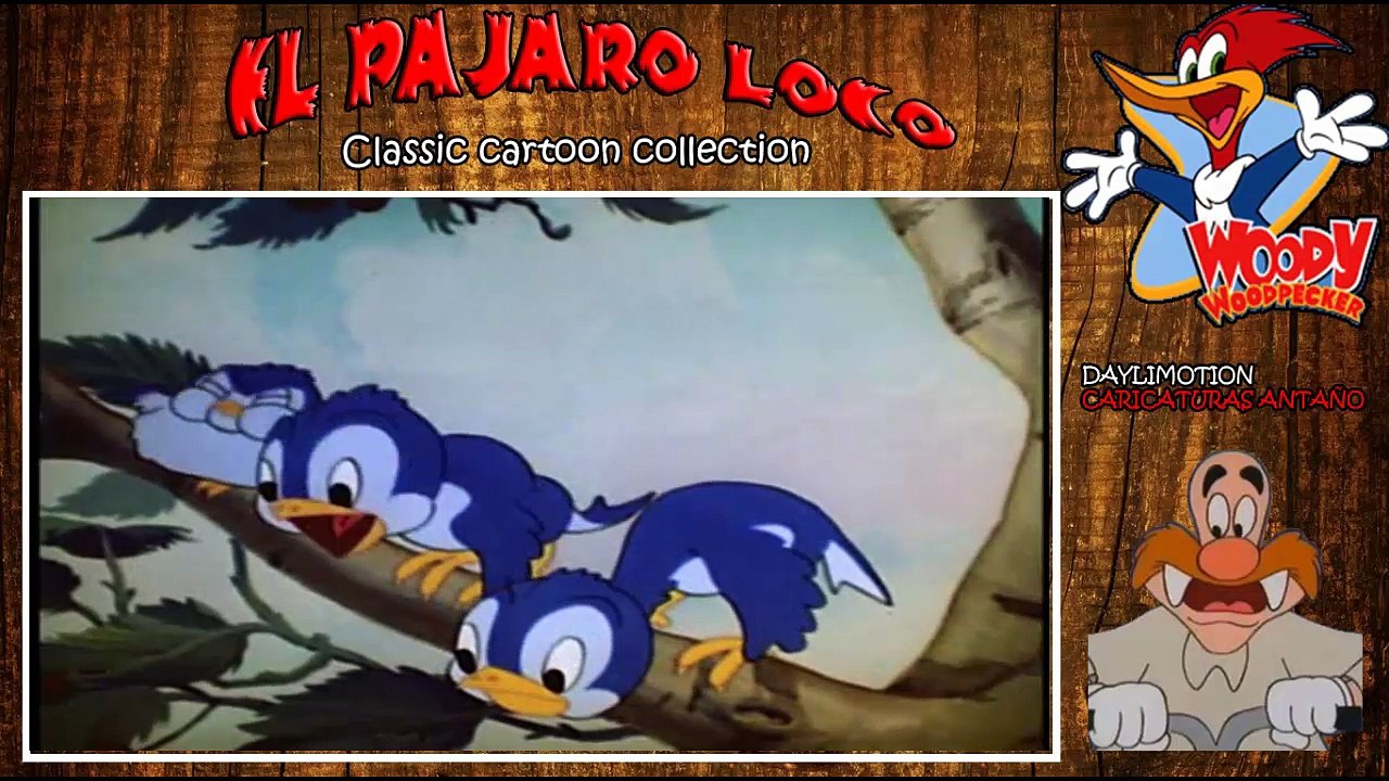 El pajaro carpintero capitulo 1
