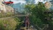 The Witcher 3: Wild Hunt - racing Dulla