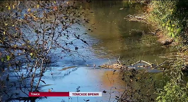 Суд подтвердил позицию томского ОНФ о незаконности строительства очистных сооружений в п. Спутник