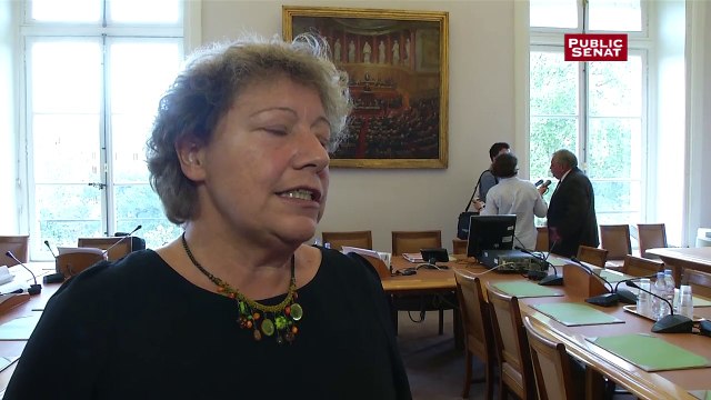 Marie-Christine Blandin sur le rapport sur les téléphones portables