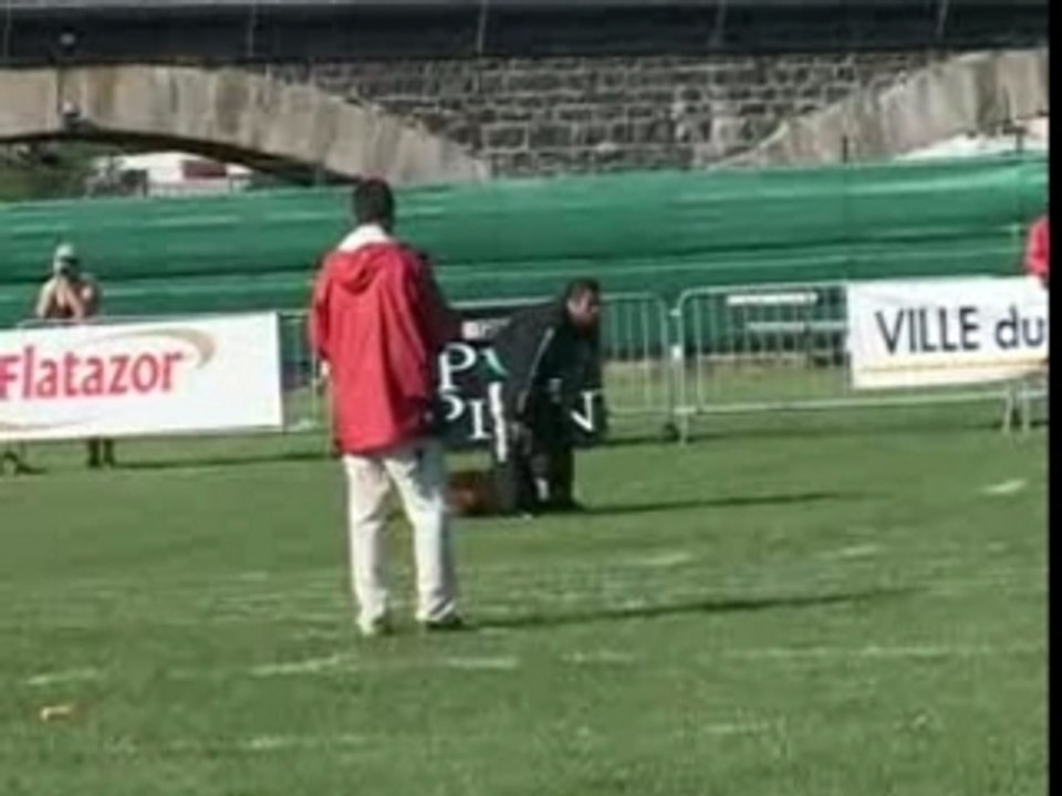 Virus du musher championnat de France Ring 2007