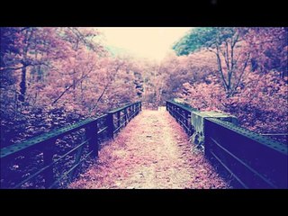 ---حنان ماضى - شدى الضفاير