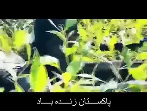 Hard training of Special Services Group of Pakistan Navy SSG(N)