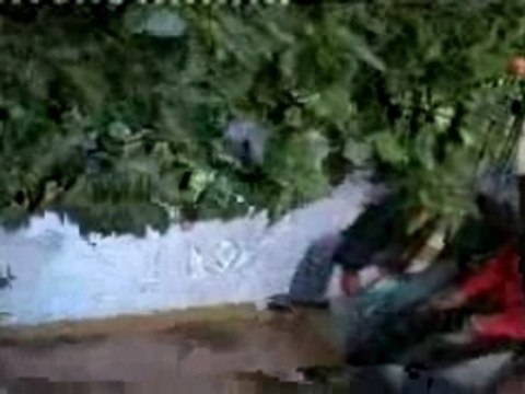 JERRY MARCOSS désolé