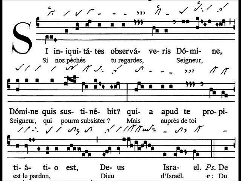 Introitus Si iniquitates, Dominica XXVIII TpA (28 TO)