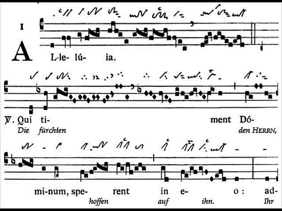 Alleluia Qui timent Dominum, Dominica XXVIII TpA (28 TO)