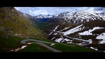 NEW! Chris Harris Drives The Alfa Romeo Giulia Quadrifoglio