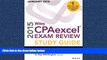 For you Wiley CPAexcel Exam Review 2015 Study Guide (January): Business Environment and Concepts