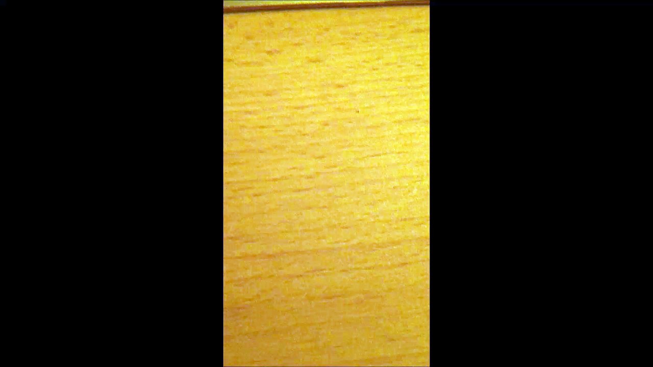 The Shortest Video On Dailymotion!