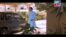 Haal-e-Dil Ep 17 on Ary Zindagi in High Quality 29th September 2016