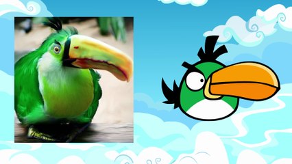 Angry Birds in Real Life