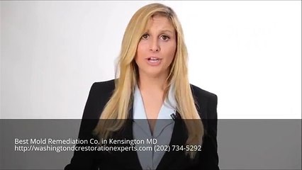Mold Remediation Kensington MD
