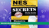 different   NES Elementary Education Secrets Study Guide: NES Test Review for the National