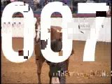 2007 FORD AQHYA WORLD CHAMPIONSHIP -  3 YEAR OLD GELDINGS