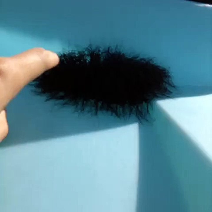 La Monstrueuse Boule d'araignées