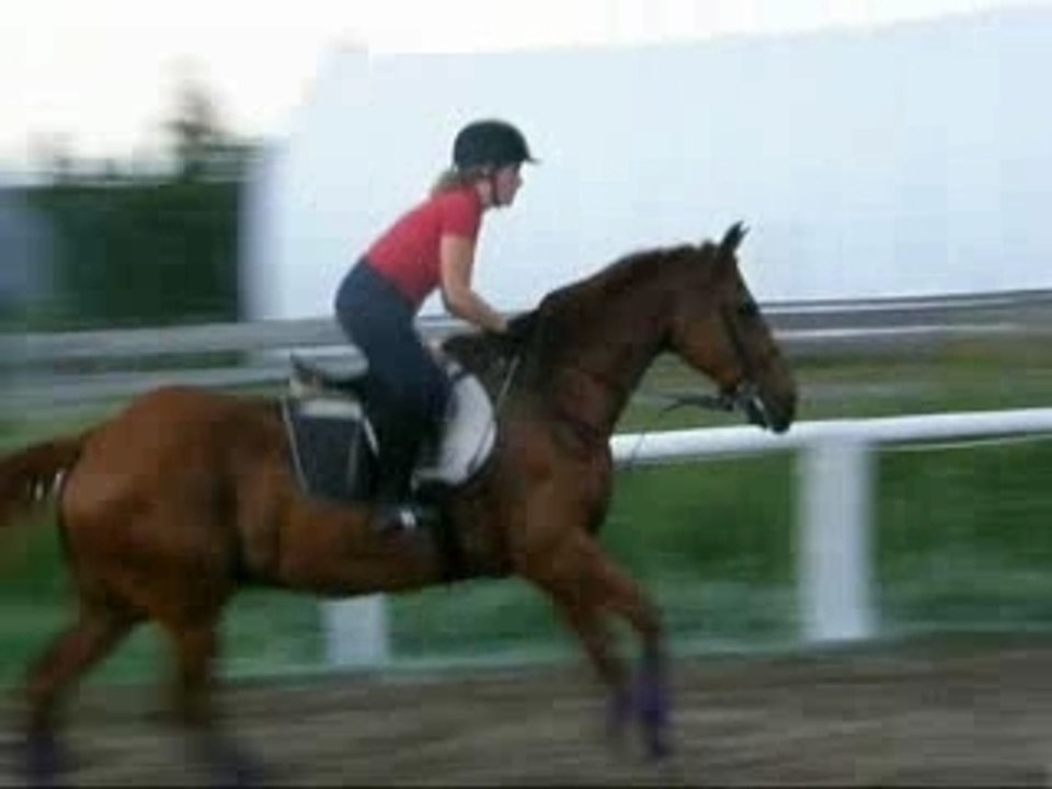 Gymnastique