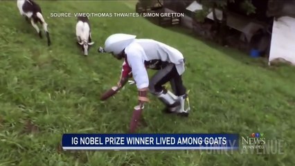TRY NOT TO LAUGH AT GOAT MAN FAIL!!!