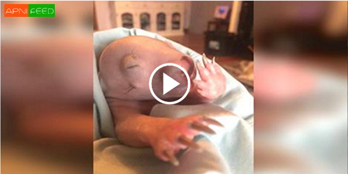 Myrstery Creature - Ali8en Lands in Panama -