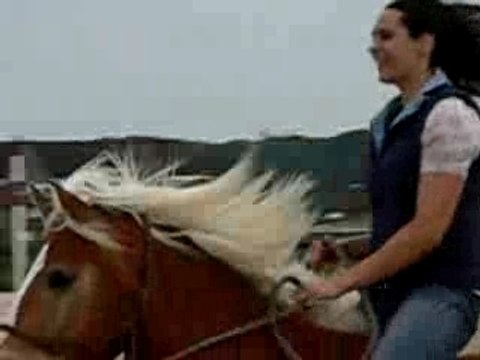 galop a cru et en licol sur la plage de deauville