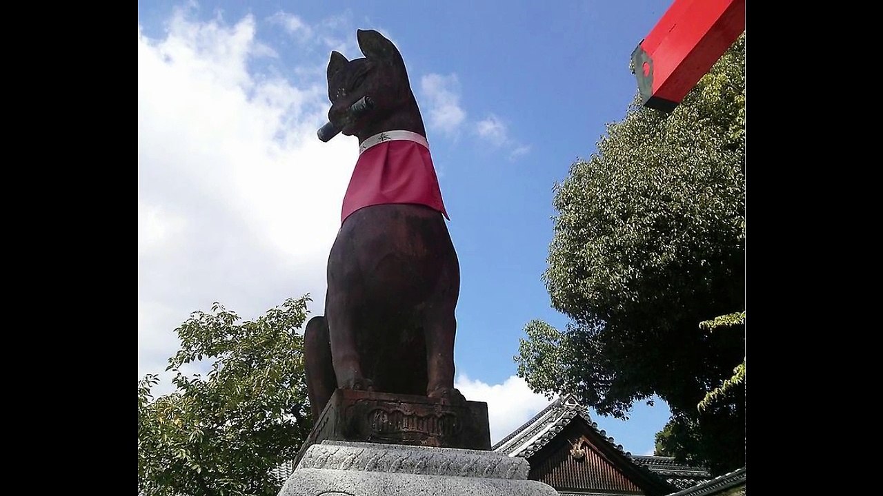 BABYMETAL FANは観ないでください - きつねだお