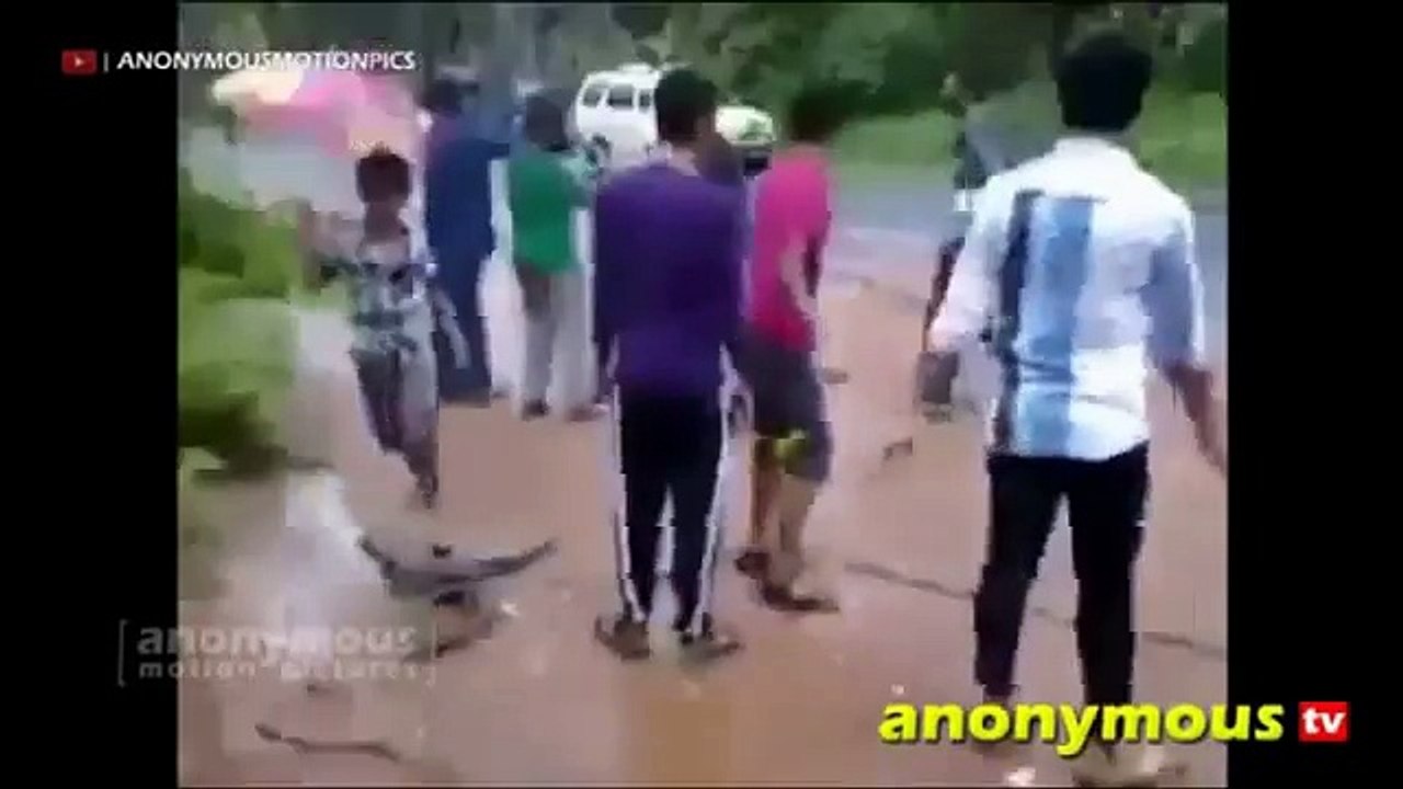 WhatsApp Funny Videos Indian [HD] | Indian Funny Videos | Latest Comedy Compilation