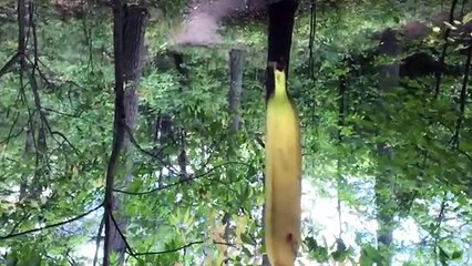 Choco Banana Ice Cream Rap