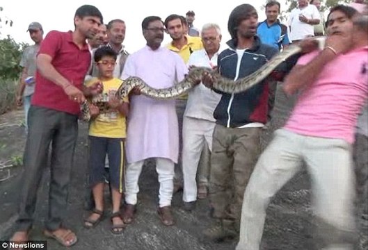 Pitonla selfie çeken adam yılan tarafından ısırıldı #Piton #Python