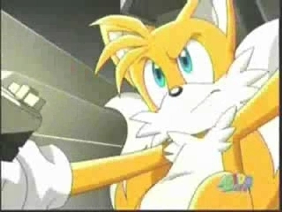 Sonic X- Cream/Tails/Cosmo Girlfriend