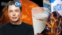 Elon Musk Will COLONIZE MARS, Getting Shot IN THE COCK, Cockroach Milk And MORE on Stream On!