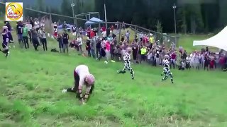 Funny World very funny non stop laugh top videos