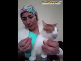 Kedisini Sevmelere Öpmelere Doyamayan Hanım Abla