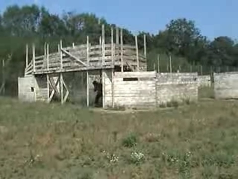 V1v1