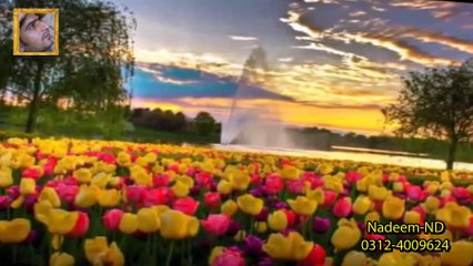 Kale Kale Badal Jab Bhe Chayin Gay Full HD 1080p