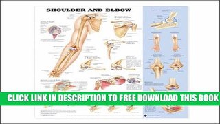 New Book Shoulder and Elbow Anatomical Chart