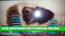 [PDF] How Monkeys See the World: Inside the Mind of Another Species Popular Online