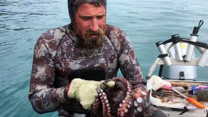 Badass New Zealander Teaches You How To Quickly Kill An Octopus