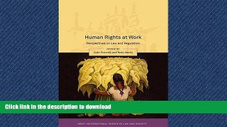 FAVORIT BOOK Human Rights at Work: Perspectives on Law and Regulation (Onati International Series